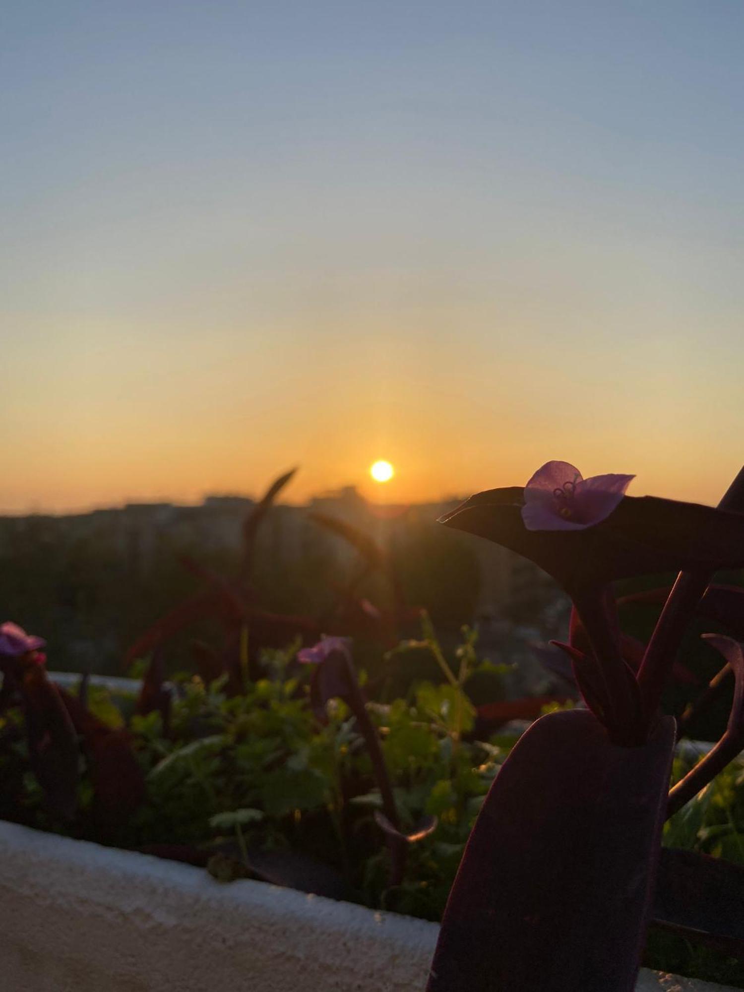 Attico Panoramico Gardenie Appartement